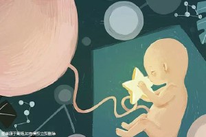 正规供卵代生子